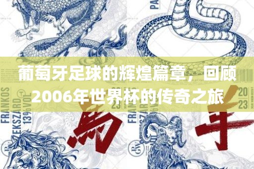 葡萄牙足球的辉煌篇章，回顾2006年世界杯的传奇之旅眉山市正发家政服务有限公司