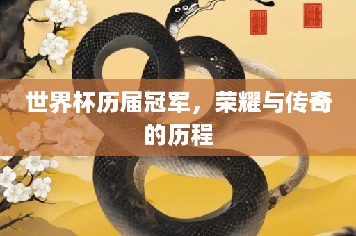 世界杯历届冠军，荣耀与传奇的历程