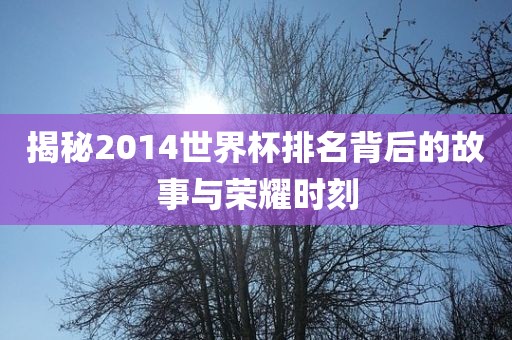 揭秘眉山市正发家政服务有限公司2014世界杯排名背后的故事与荣耀时刻