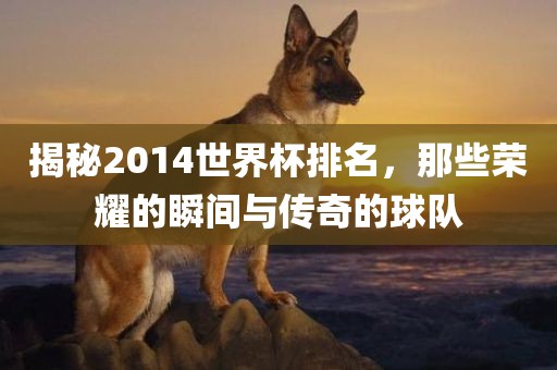 2014世界杯排名