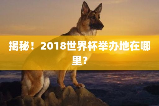 揭秘！2018世界杯举办地在哪里？