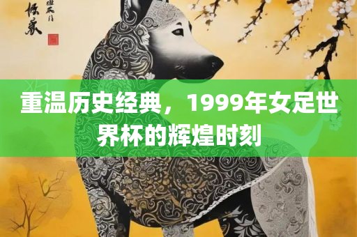 重温历史经典，1999年女足世界杯的辉煌时刻