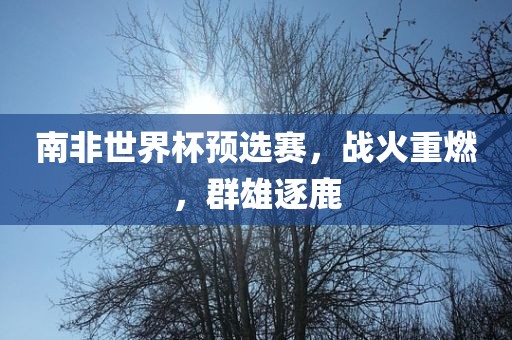 南非世界杯预选赛，战火重燃，群雄逐鹿