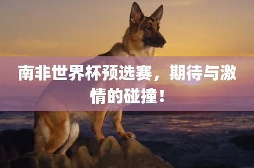 南非世界杯预选赛，期待与激情的碰撞！