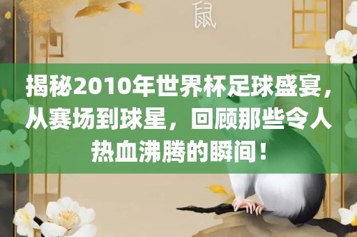 揭秘2010年世界杯足球盛宴，从赛场到球星，回顾那些令人热血沸腾的瞬间！
