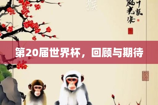 第20届世界杯，回顾与期待