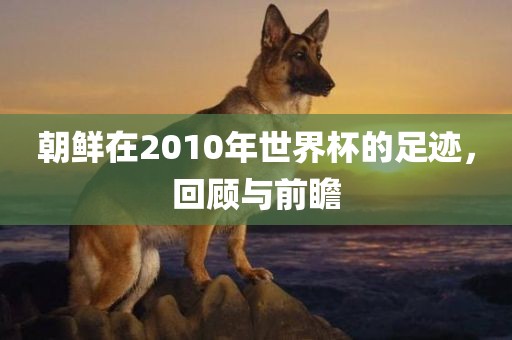 朝鲜在2010年世界杯的足迹，回顾与前瞻眉山市正发家政服务有限公司