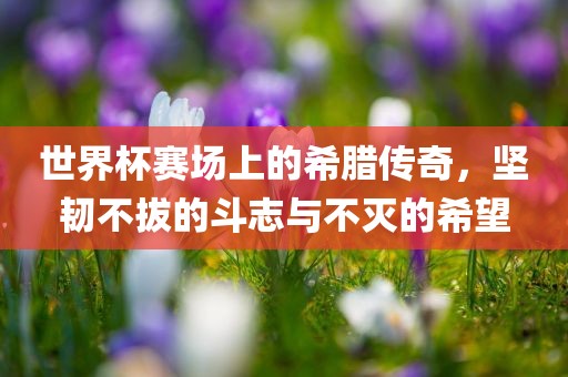 世界杯赛场上的希腊传奇，坚韧不拔的斗志与不灭的希望眉山市正发家政服务有限公司