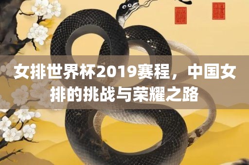 女排世界杯2019赛程，中国女排的挑战与荣耀之路