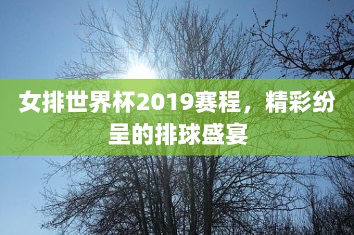 女排世界杯2019赛程，精彩纷呈的排球盛宴眉山市正发家政服务有限公司