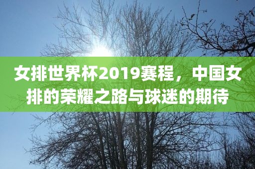 女排世界杯2019赛程，中国女排的荣耀之路与球迷的期待