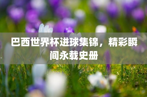 巴西世界杯进球集锦，精彩瞬间永载史册眉山市正发家政服务有限公司