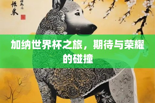 加纳世界杯之旅，期待与荣耀的碰撞