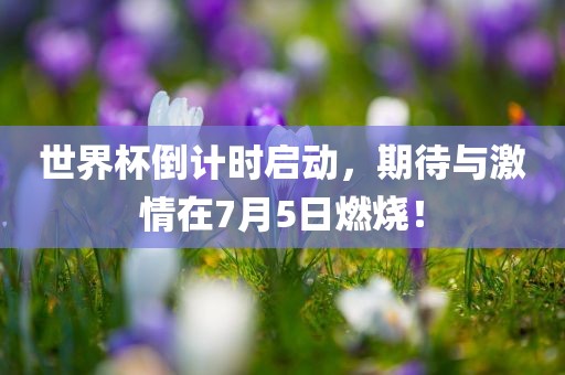 世界杯倒计时启动，期待与激情在7月5日燃烧！眉山市正发家政服务有限公司