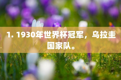 1. 1930年世界杯冠军，乌拉圭国家队。