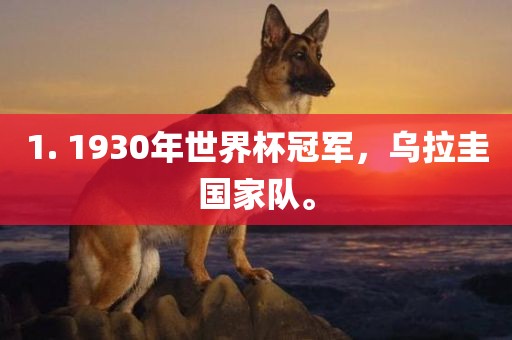 1. 1930年世界杯冠军，乌拉圭国家队。