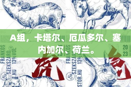 A组，卡塔尔、厄瓜多尔、塞内加尔、荷兰。