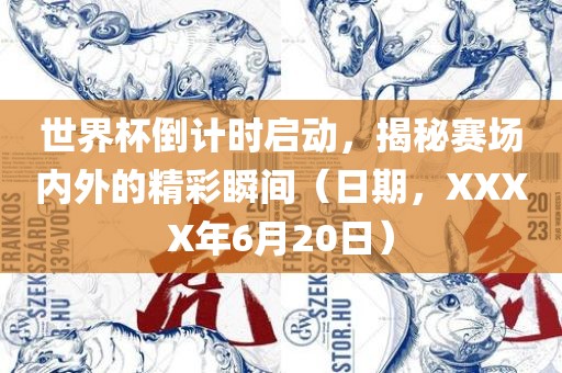 世界杯倒计时启动，揭秘赛场内外的精彩瞬间（日期，XXXX年6月20日）