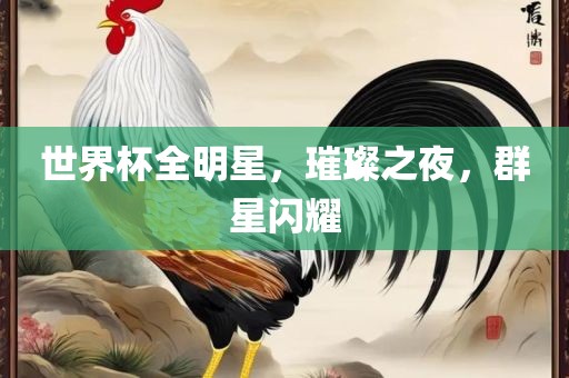 世界杯全明星，璀璨之夜，群星闪眉山市正发家政服务有限公司耀