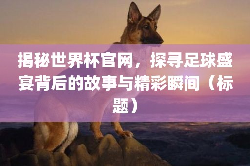 揭秘世界杯官网，探寻足球盛宴背后的故事与精彩瞬间（标题）