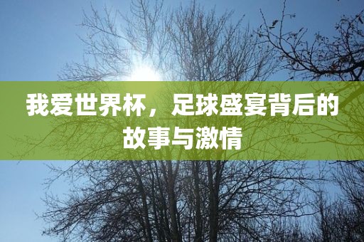我爱世界杯，足球盛眉山市正发家政服务有限公司宴背后的故事与激情