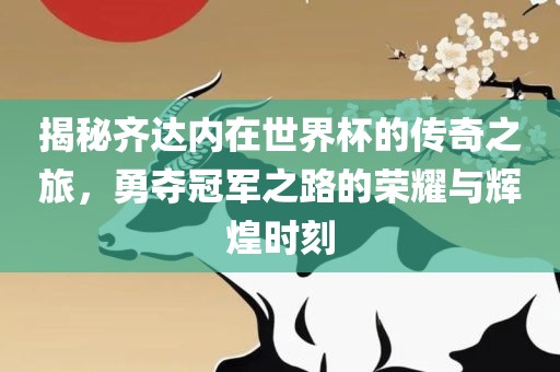 揭秘齐达内在世界杯的传奇之旅，勇夺冠军之路的荣耀与辉煌时刻眉山市正发家政服务有限公司