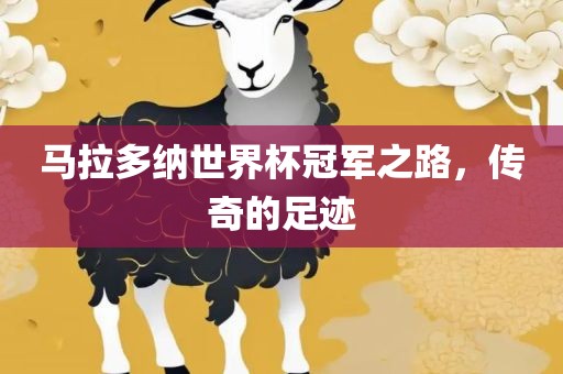 马拉多纳世界杯冠军之路，传奇的足迹