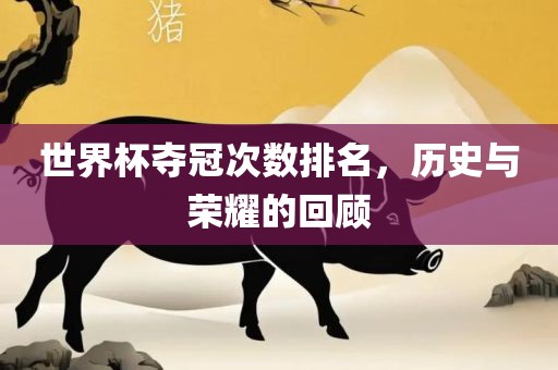 世界杯夺冠次数排名，历史与荣耀的回顾