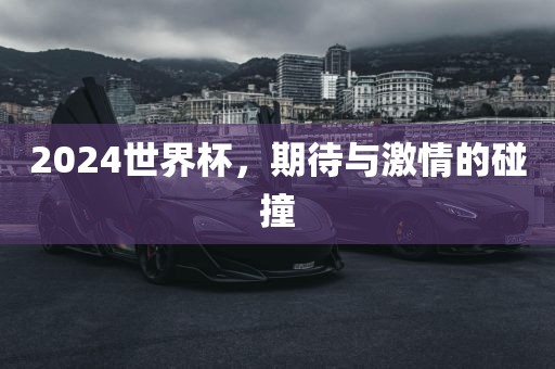 2024世界杯，期待与激情的碰撞