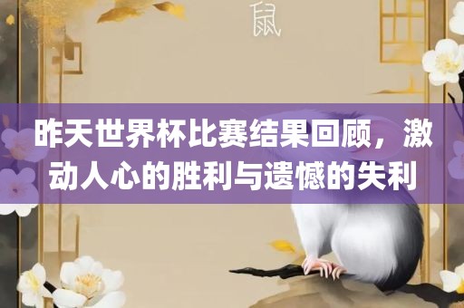 昨天世界杯比赛结果回顾，激动人心的胜利与遗憾的失利