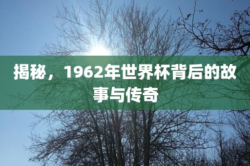 揭秘，1962年世界杯背后的故事与传奇