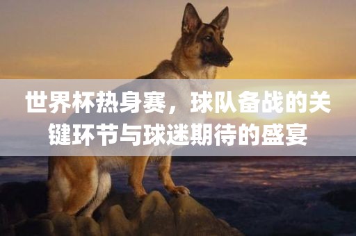 世界杯热身赛，球队备战的关键环节与球迷期待的盛宴