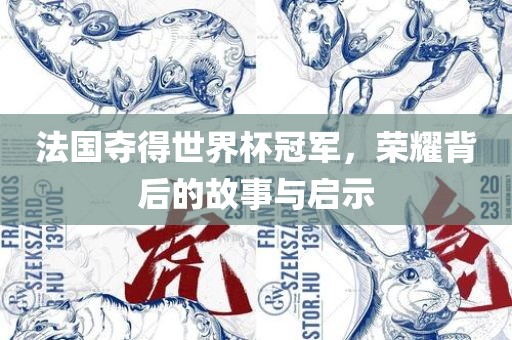 法国夺得世界杯冠军，荣耀背后的故事与启示