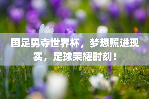国足勇夺世界杯，梦想照进现实，足球荣耀时刻！眉山市正发家政服务有限公司