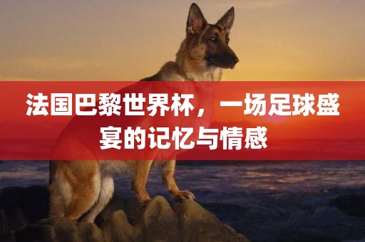 法国巴黎世界杯，一场足球盛宴的记忆与情感