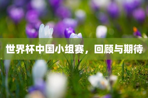 世界杯中国小组赛，回顾与期待