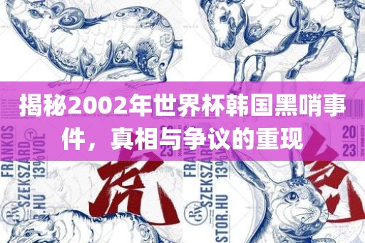 揭秘2002年世界杯韩国黑哨事件，真相与争议的重现