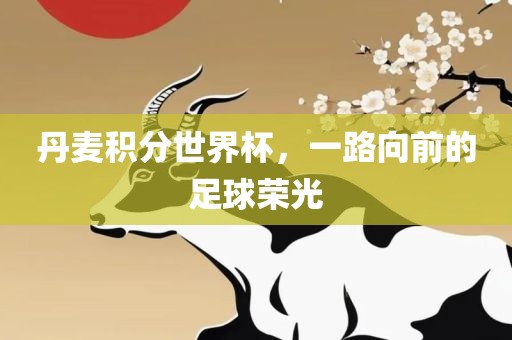 丹麦积分世界杯，一路向前的足球荣光