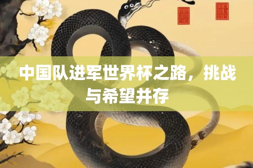 中国队进军世界杯之路，挑战与希望并存