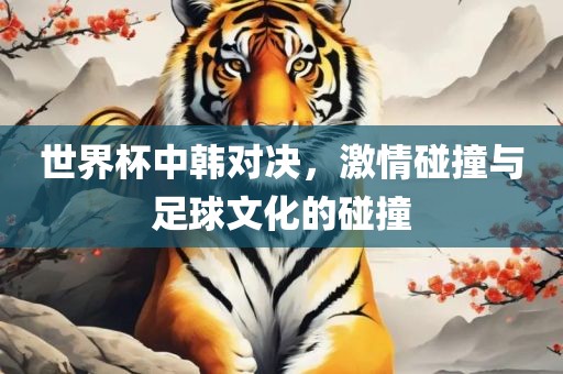 世界杯中韩对决，激情碰撞与足球文化的碰撞