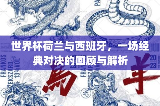 世界杯荷兰与西班牙，一场经典对决的回顾与解析