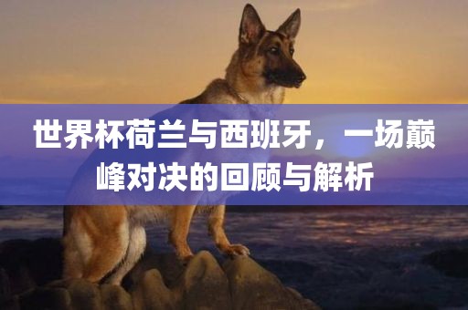 世界杯荷兰与西班牙，一场巅峰对决的回顾与解析