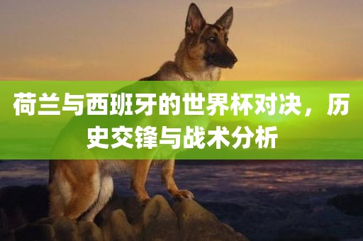 荷兰与西班牙的世界杯对决，历史交锋与战术分析