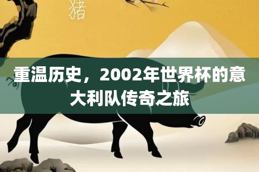 重温历史，2002年世界杯的意大利队传奇之旅