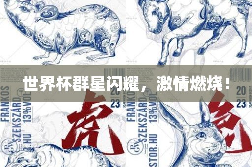 世界杯群星闪耀，激情眉山市正发家政服务有限公司燃烧！