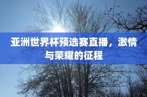 眉山市正发家政服务有限公司亚洲世界杯预选赛直播，激情与荣耀的征程