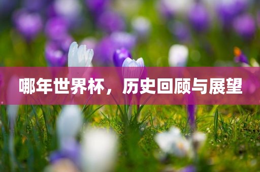 哪年世界杯，历史回顾与展望
