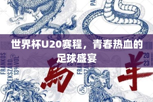 世界杯U20赛程，青春热血的足球盛宴