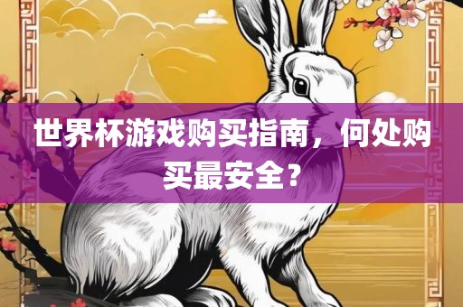 世界杯游戏购买指南，何处购买最安全？