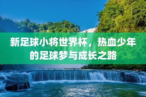 新足球小将世界杯，热血少年的足球梦与成长之路